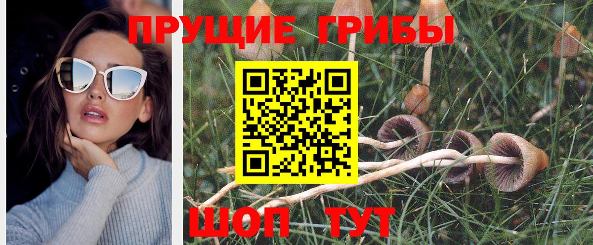 Псилоцибиновые грибы ЛСД Артёмовский