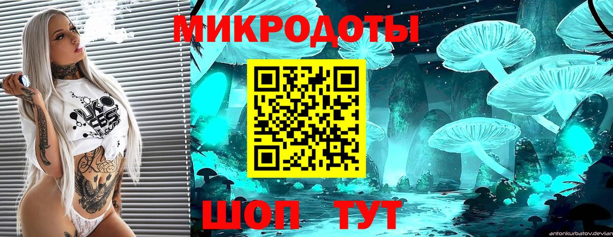 Артёмовский  Псилоцибиновые грибы Magic Shrooms  наркотики  Вход с VPN 